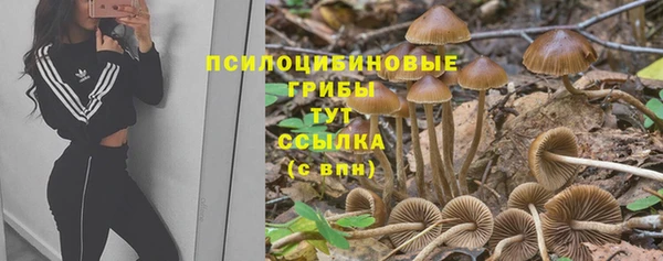 шишки Алексин