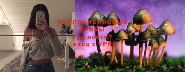 шишки Алексин