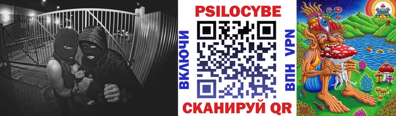 Псилоцибиновые грибы мухоморы  mega ONION  Сосновый Бор 